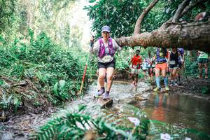 BIB: 
                            <button type="button" onclick="openModal(25516372)" class="btn btn-primary btn-sm float-right btn-popup" data-toggle="modal" data-target=".modal-high-quality">
                        <i class="fas fa-shopping-cart"></i> Add to Cart
                    </button>
                                            <button type="button" onclick="isThisMe(25516372, true)" class="btn btn-success btn-sm float-right btn-popup btn-isme hidden" data-toggle="tooltip" data-placement="bottom" title="นี่คือรูปของคุณใช่ไหม คลิกที่นี่เพื่อเอาเข้าอัลบั้ม">
                        <i class="fas fa-plus"></i> Add to album
                    </button>
                    <button type="button" onclick="isThisMe(25516372, false)" class="btn btn-warning btn-sm float-right btn-popup btn-isnotme hidden">
                        <i class="fas fa-ban"></i> Remove from album
                    </button>